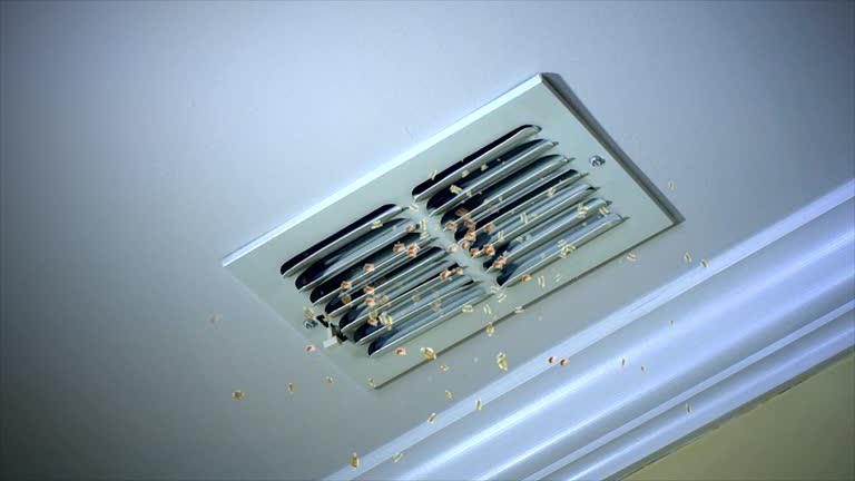 Best Ventilation Cleaning Services  in Rolling Fork, MS